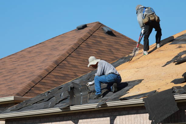 Best Asphalt Shingles Roofing  in Willits, CA